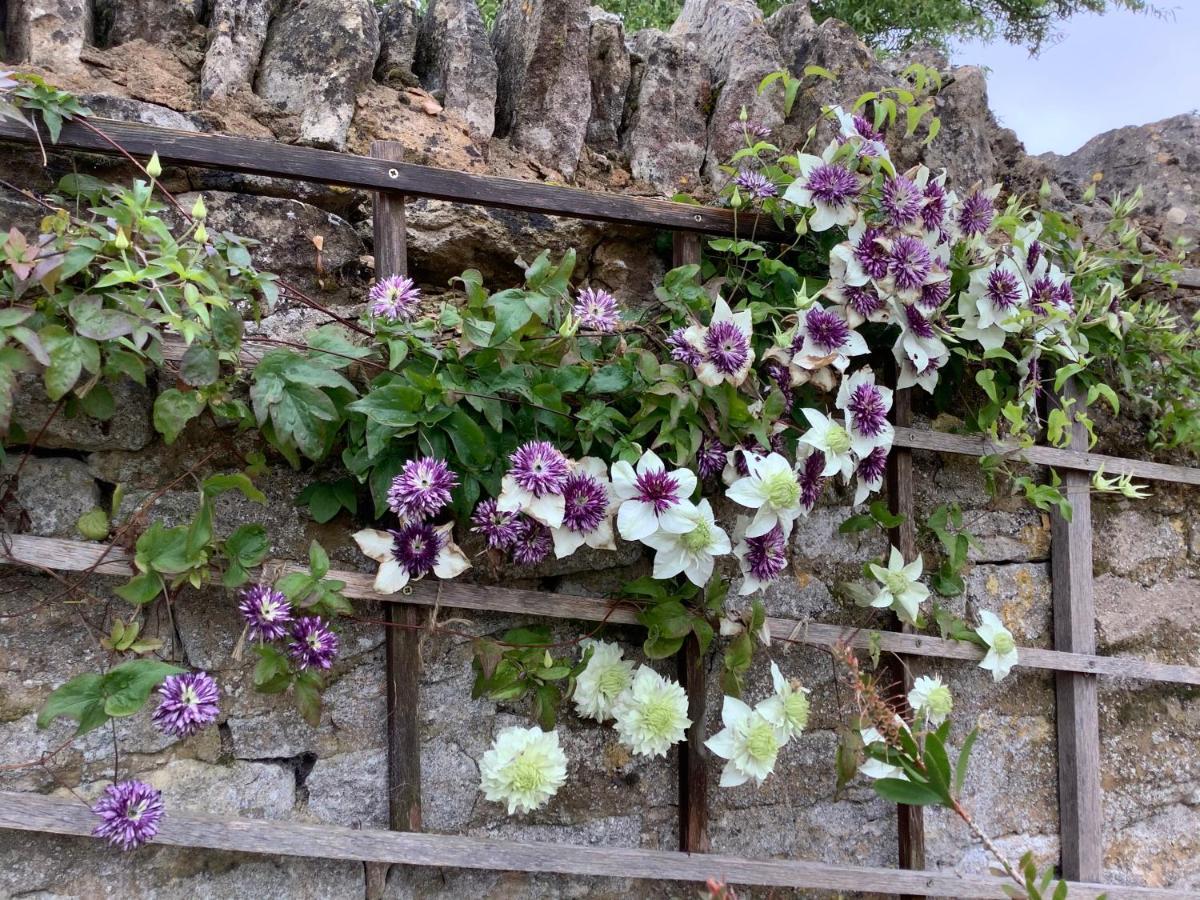 Orchard Cottage, Clematis Cottages, Stamford. Accessible Luxury Home. Екстериор снимка