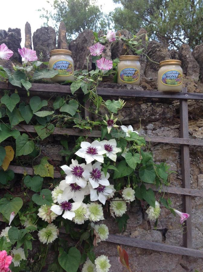 Orchard Cottage, Clematis Cottages, Stamford. Accessible Luxury Home. Екстериор снимка